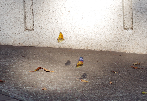 f:id:com:20141003150328j:image