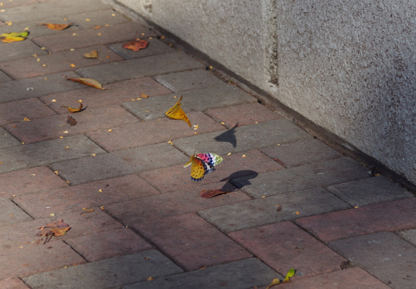 f:id:com:20141003150341j:image