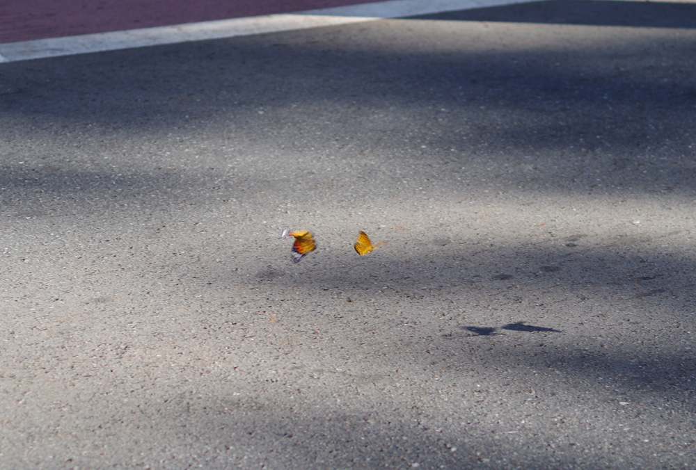 f:id:com:20141003150411j:image