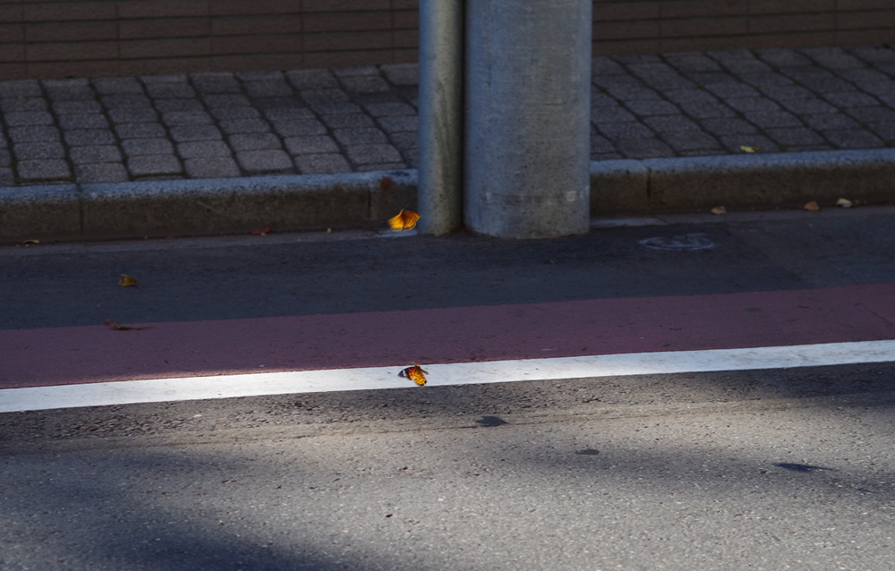 f:id:com:20141003150413j:image
