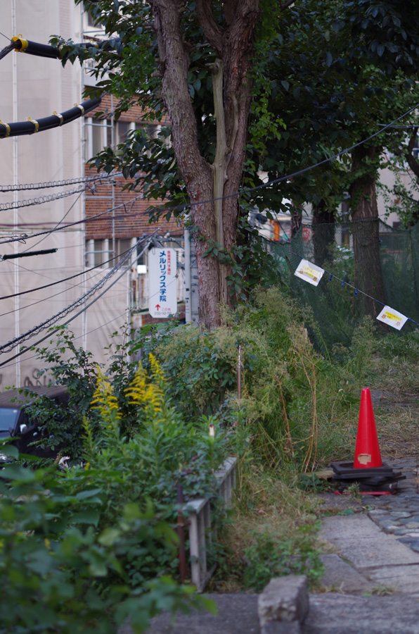f:id:com:20141017162841j:image