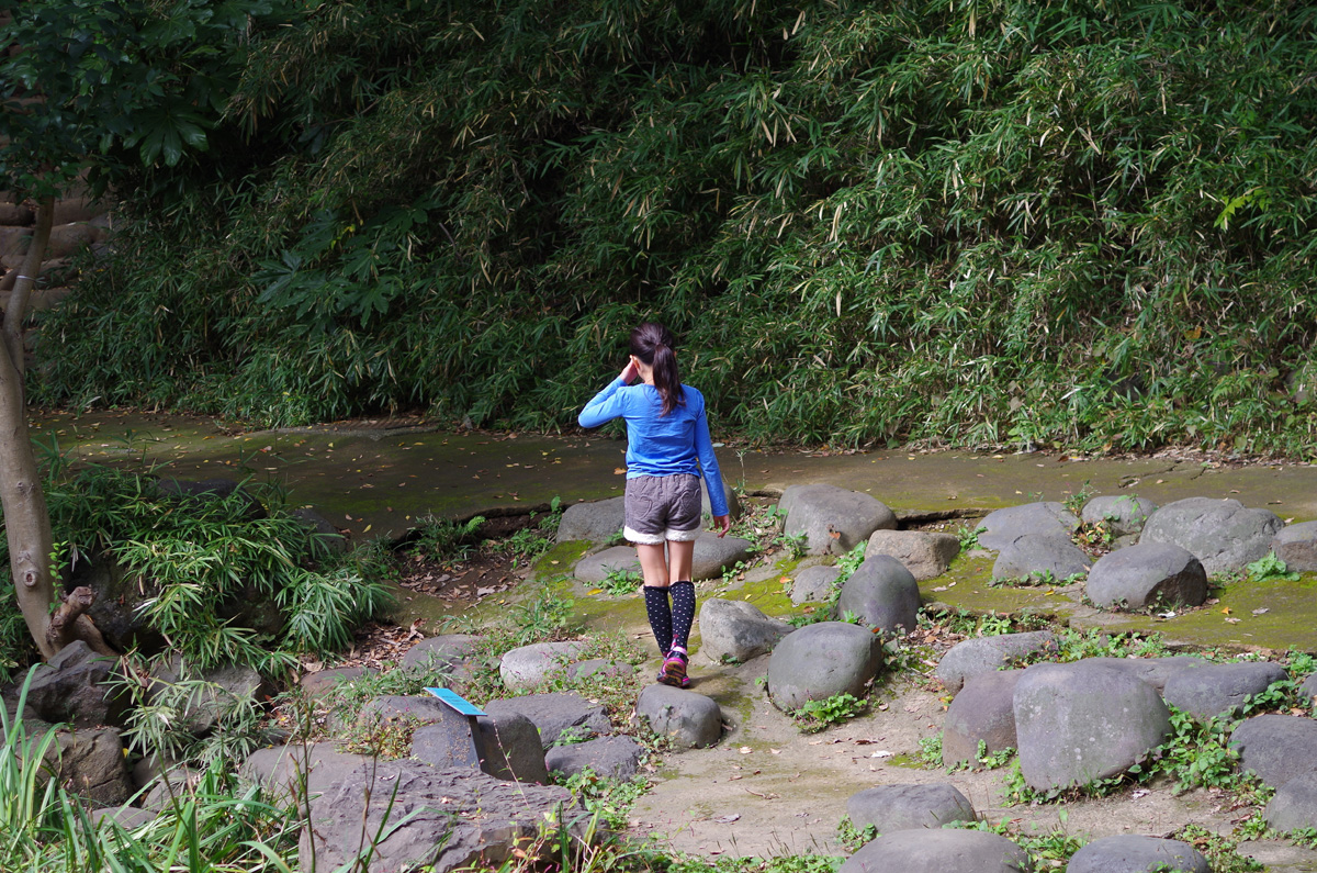 f:id:com:20141026112112j:image