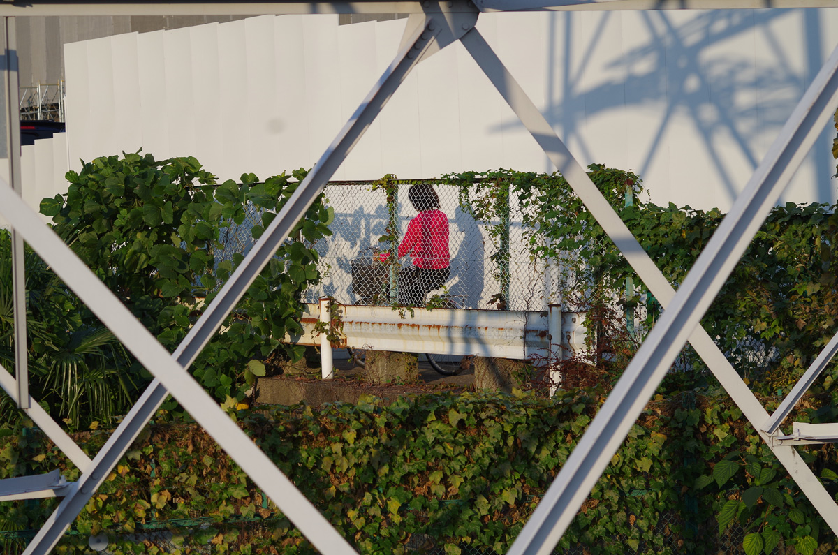f:id:com:20141027154456j:image