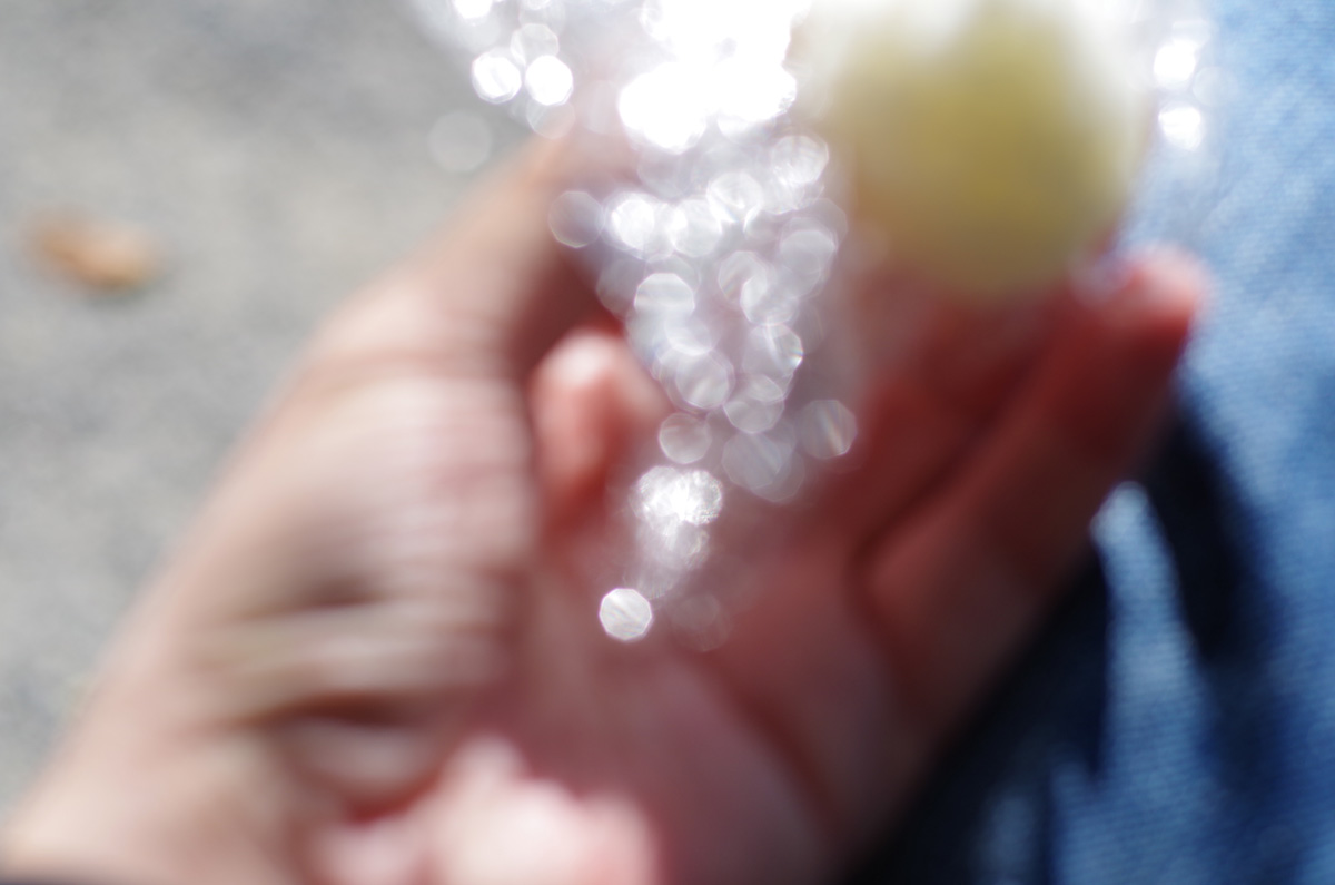 f:id:com:20141104120915j:image