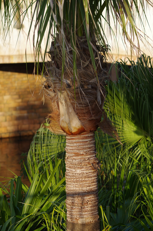 f:id:com:20141110153114j:image