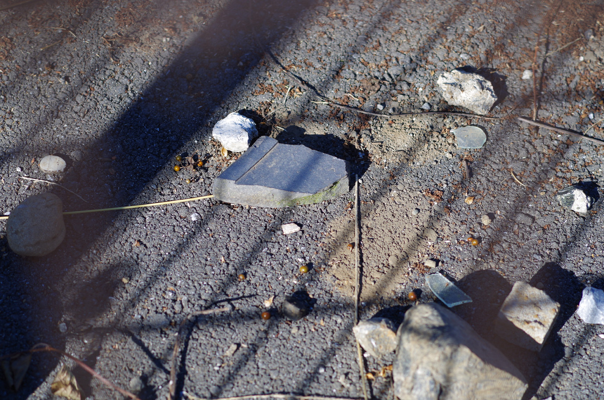 f:id:com:20141113124528j:image