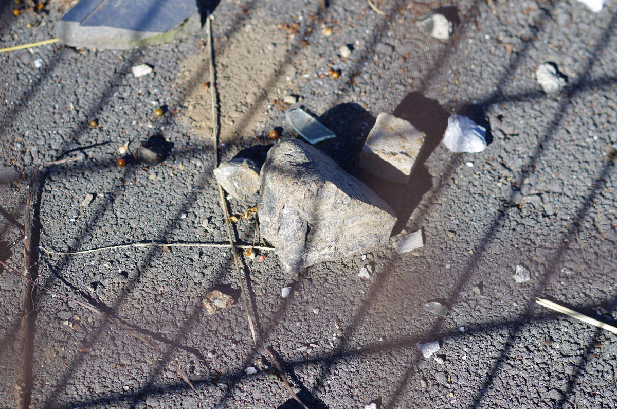 f:id:com:20141113124531j:image