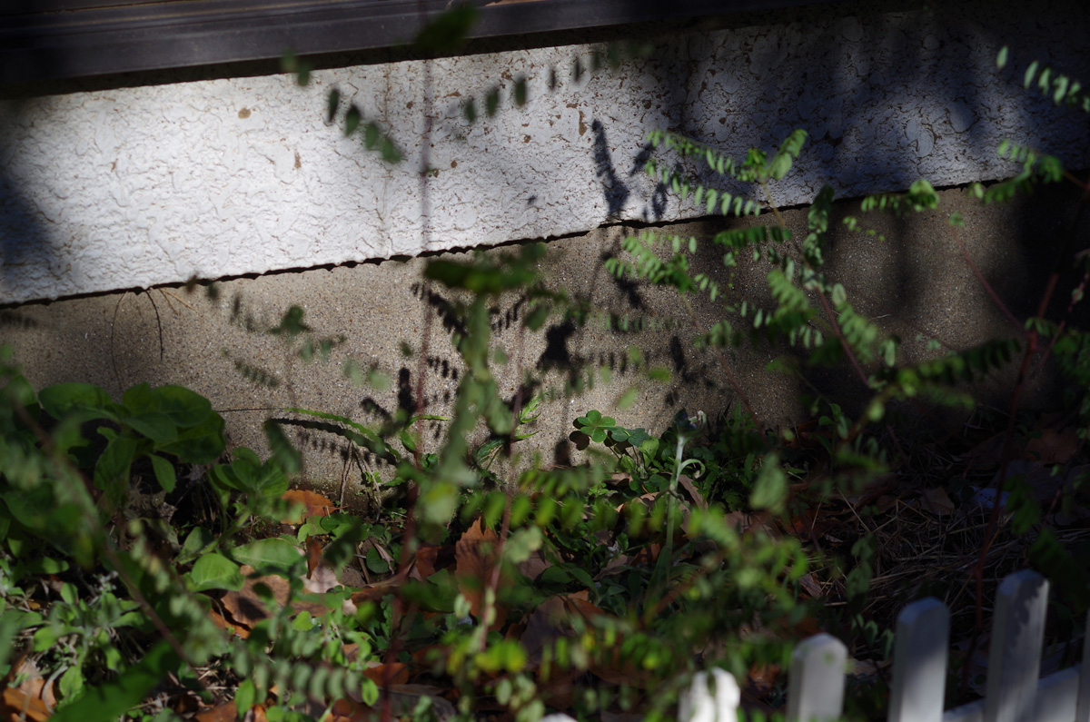 f:id:com:20141218120800j:image