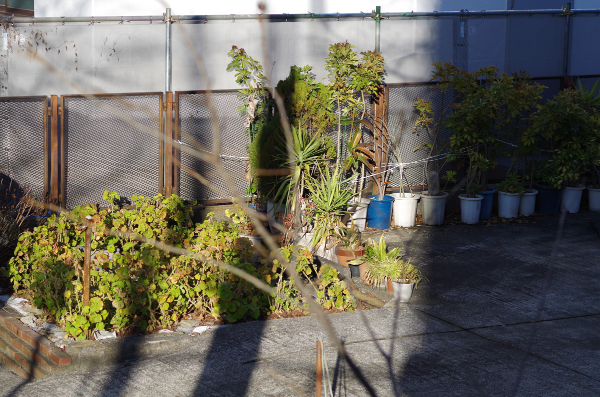 f:id:com:20150220155538j:image