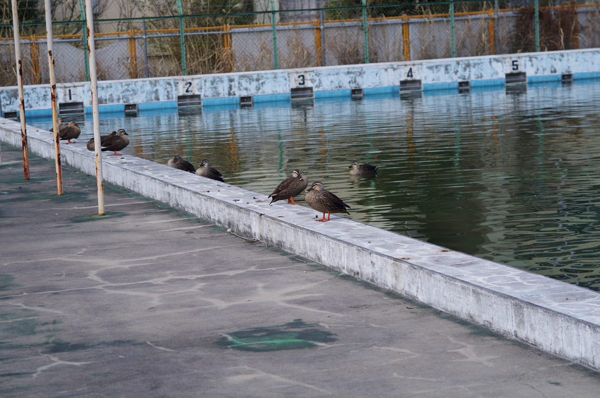 f:id:com:20150221101026j:image