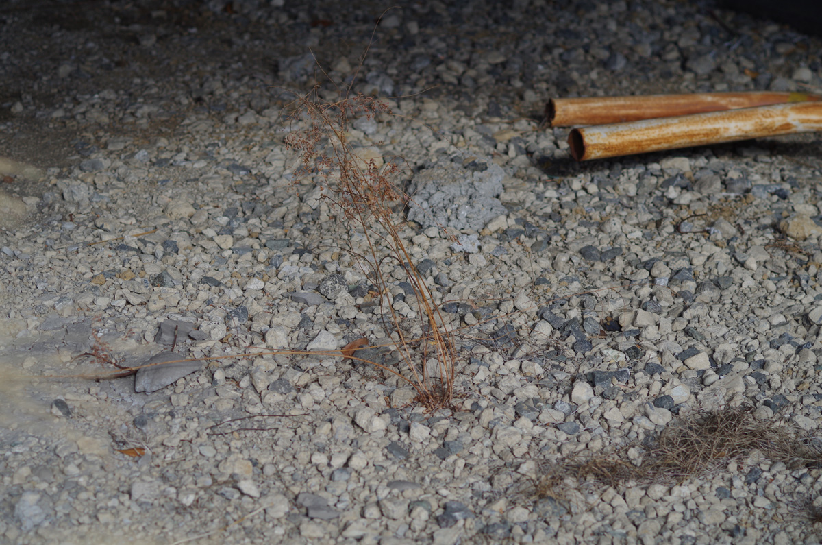 f:id:com:20150308151459j:image