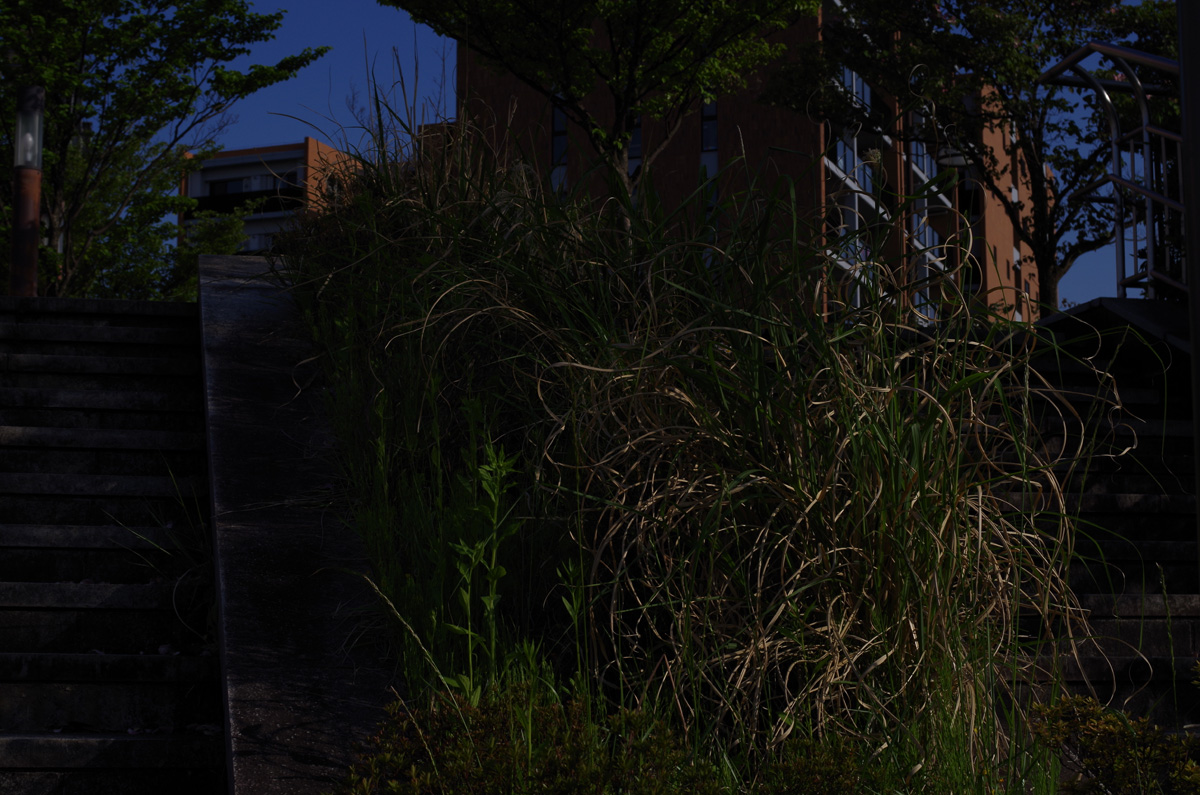 f:id:com:20150501160401j:image