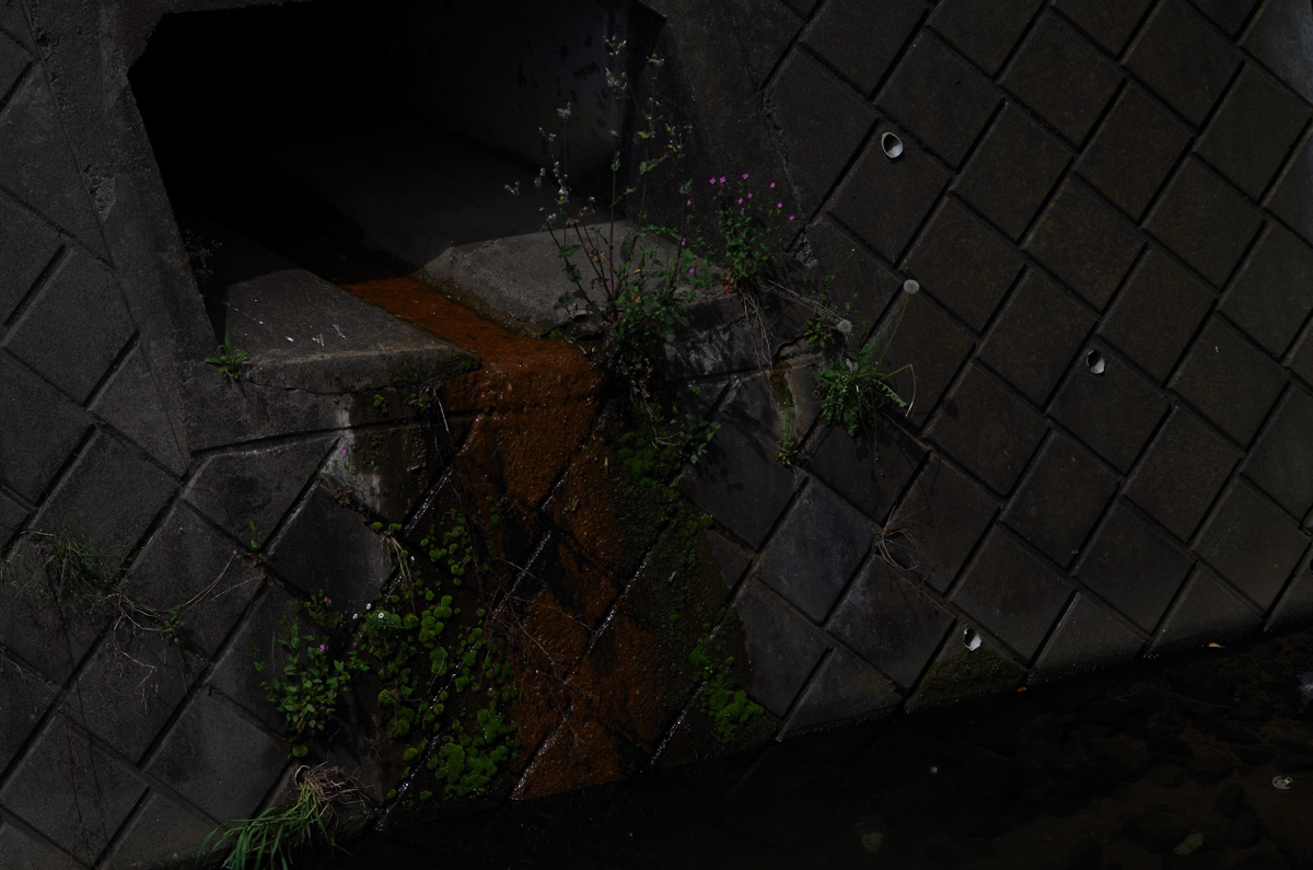 f:id:com:20150506122409j:image