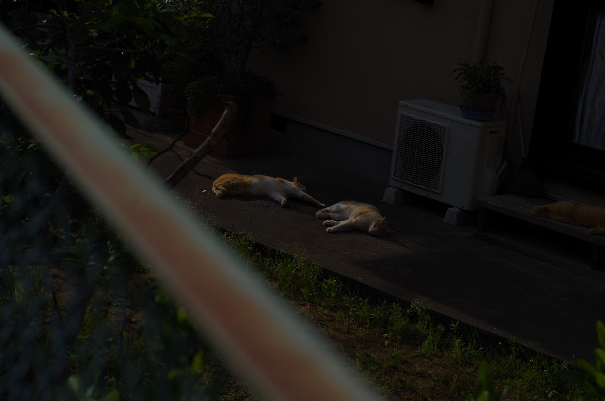 f:id:com:20150507160212j:image