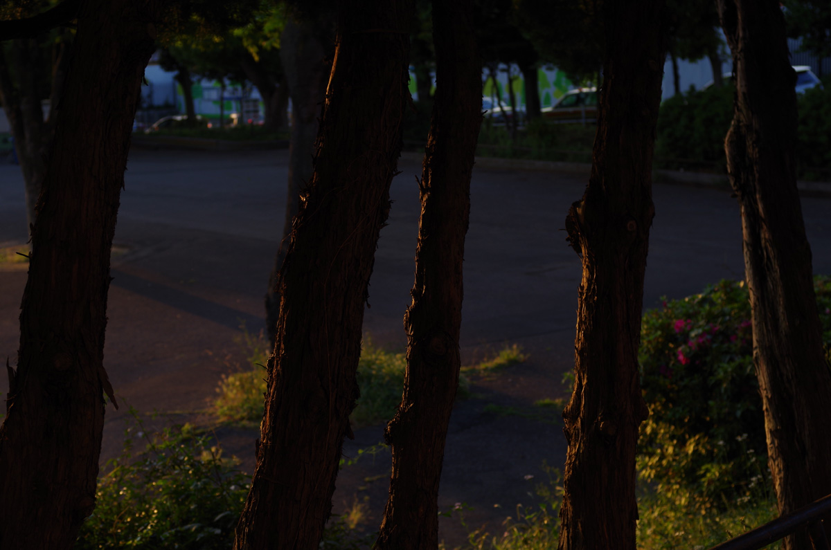 f:id:com:20150513175135j:image