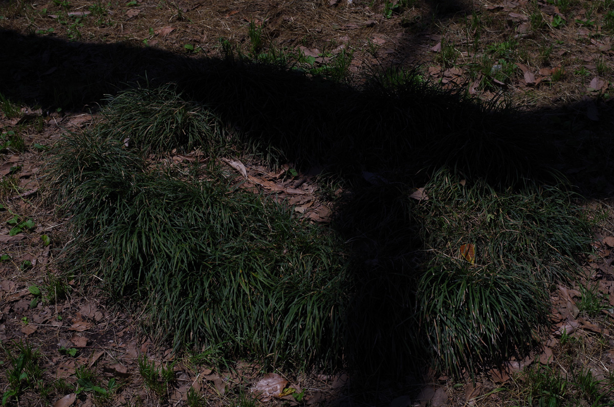 f:id:com:20150521123325j:image