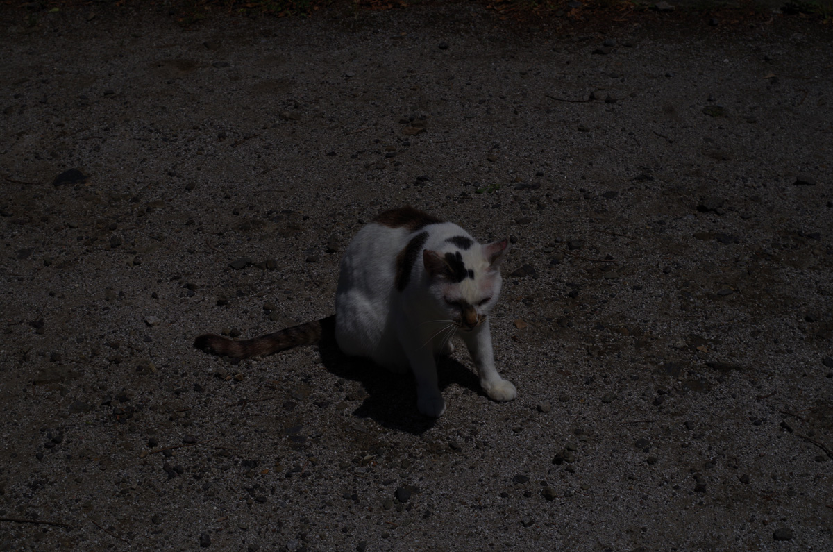 f:id:com:20150521124552j:image
