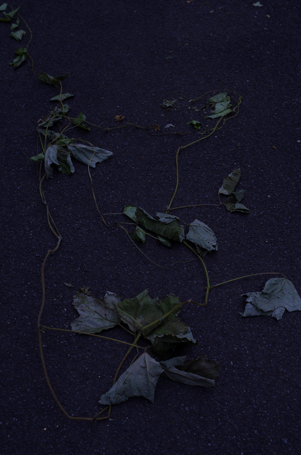 f:id:com:20150630151804j:image