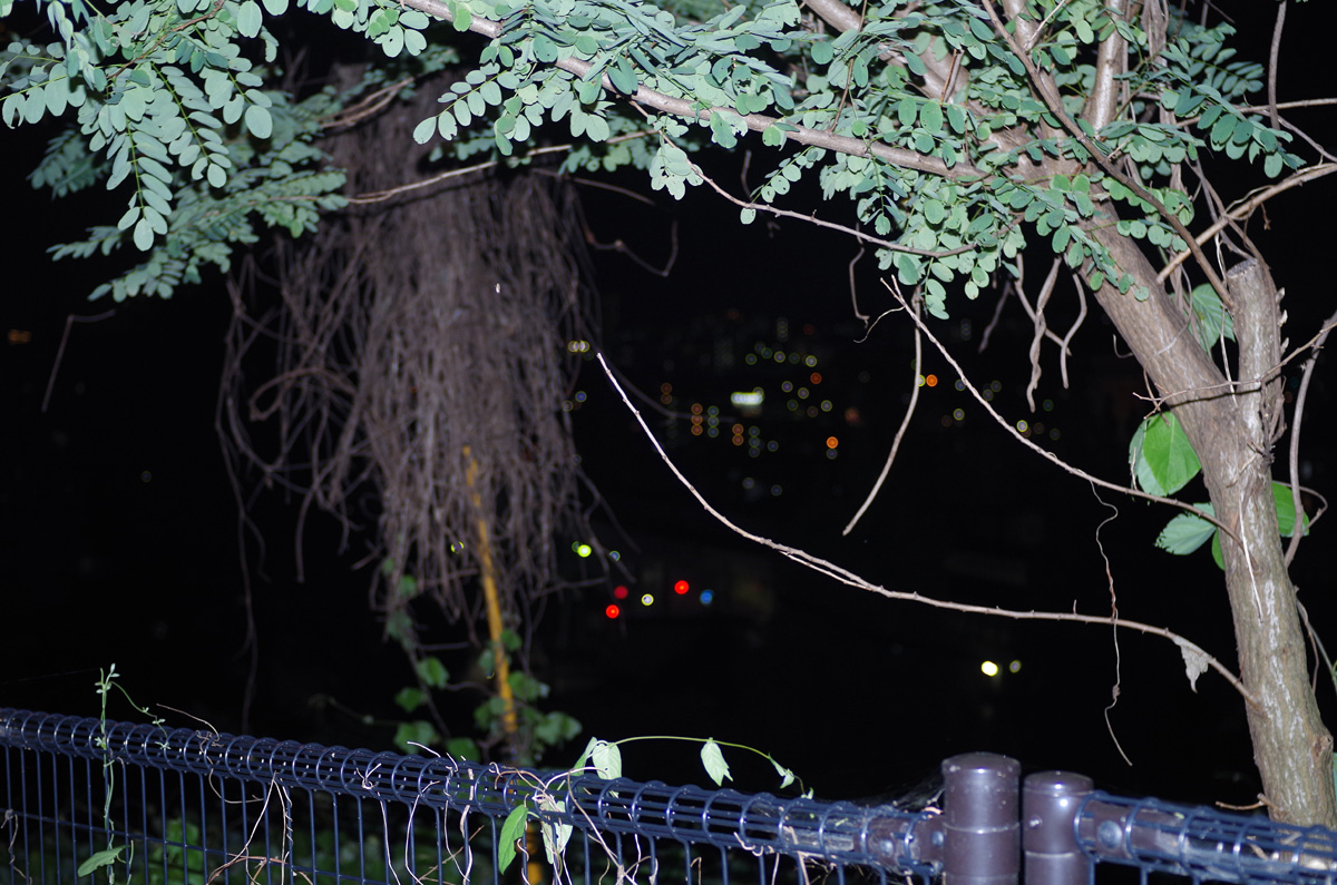 f:id:com:20150726212543j:image