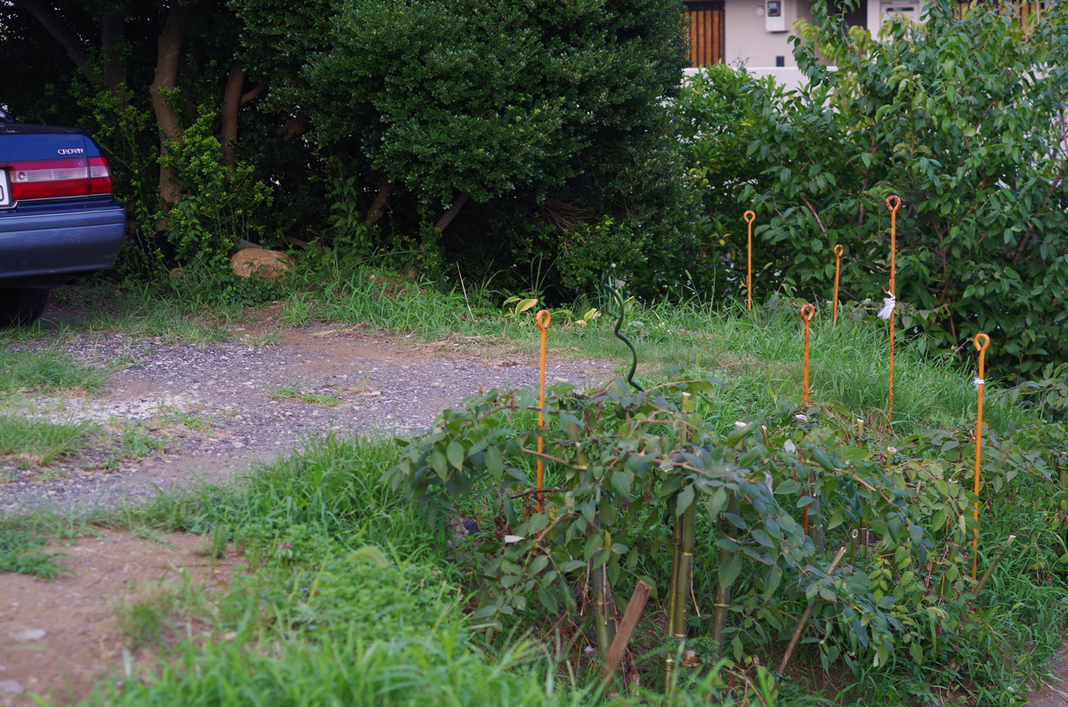 f:id:com:20150802165810j:image