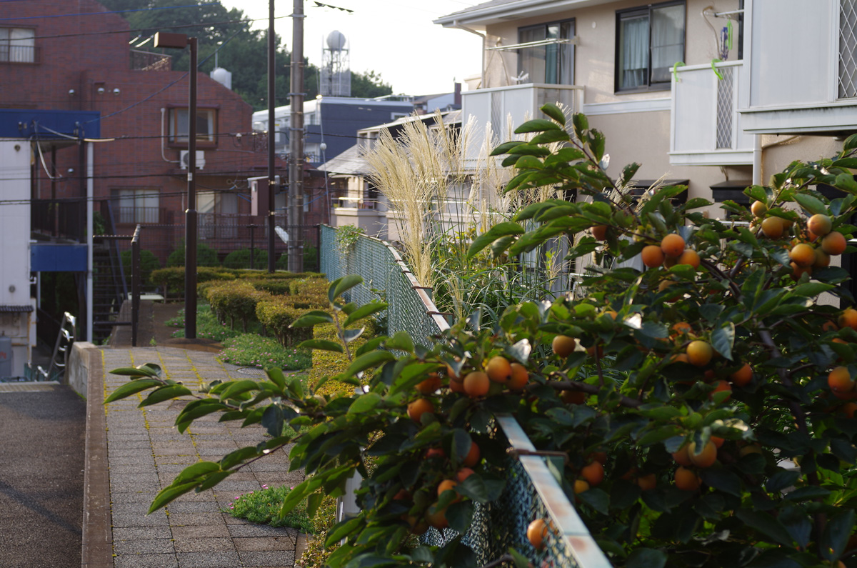 f:id:com:20150927162252j:image