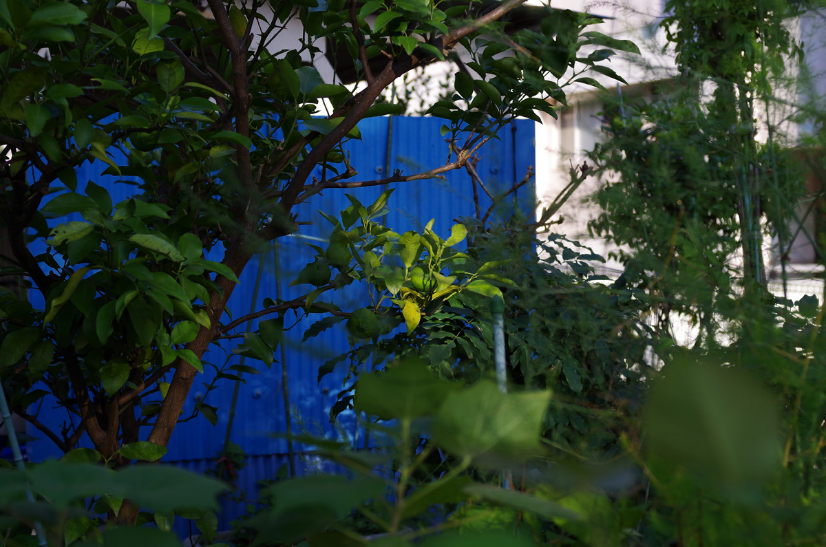f:id:com:20150928153259j:image