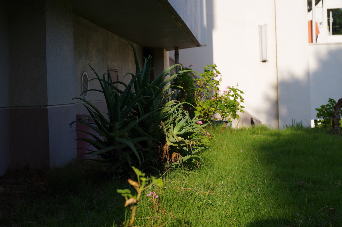 f:id:com:20150928154146j:image