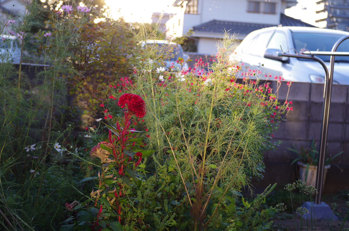 f:id:com:20151007163927j:image