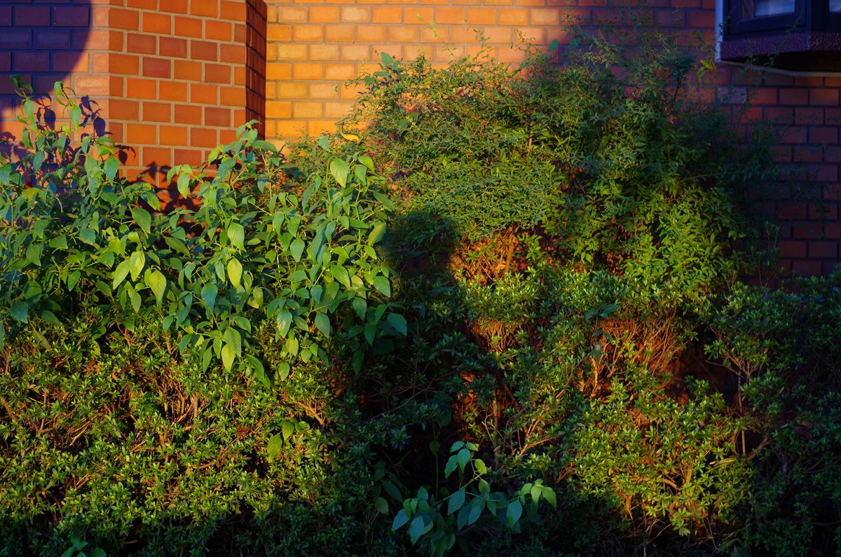 f:id:com:20151007165431j:image