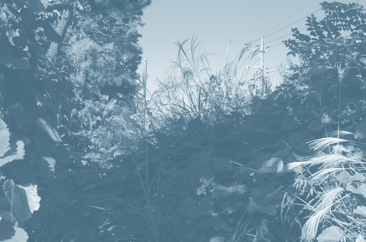 f:id:com:20151008143512j:image