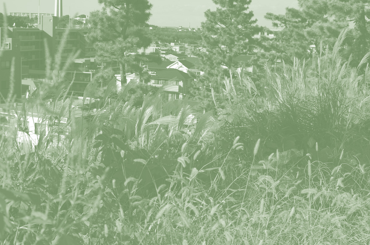 f:id:com:20151008143732j:image