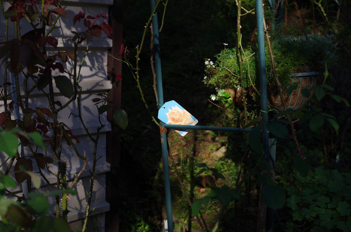 f:id:com:20151008152310j:image