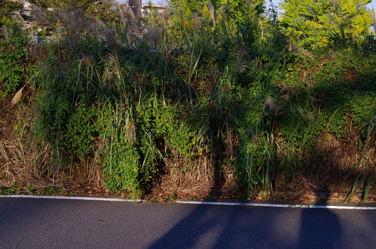 f:id:com:20151012160342j:image