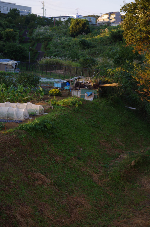 f:id:com:20151012162855j:image