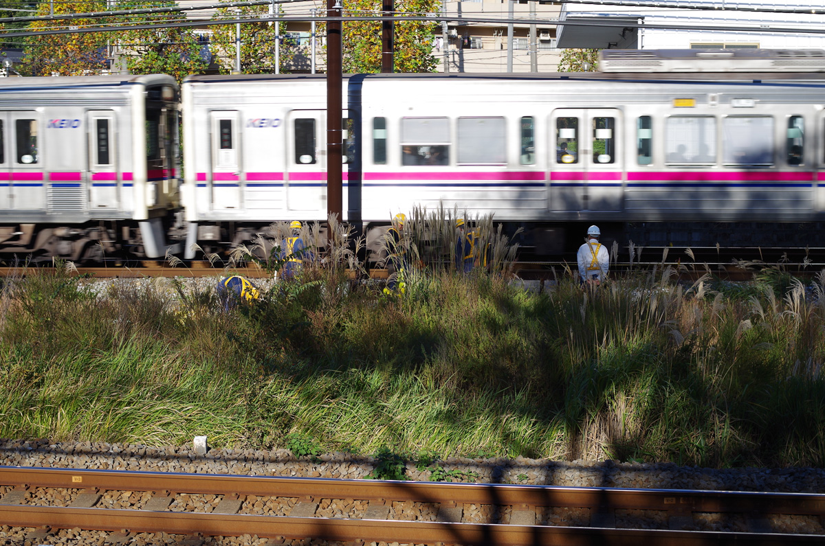 f:id:com:20151104143218j:image