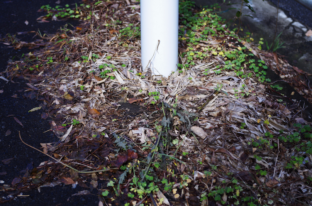 f:id:com:20151115124115j:image