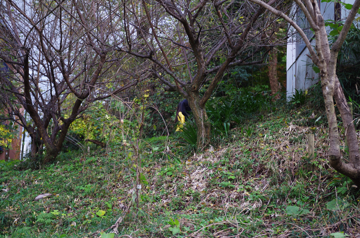 f:id:com:20151116155134j:image