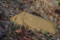 20160202152518