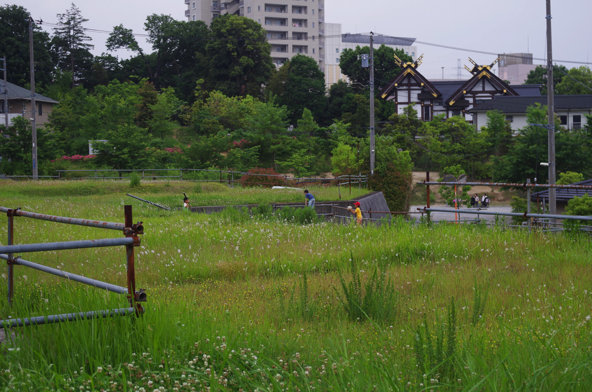 f:id:com:20160525163841j:image