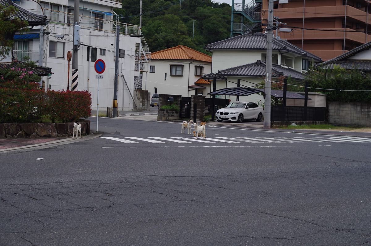 f:id:com:20161009082516j:image