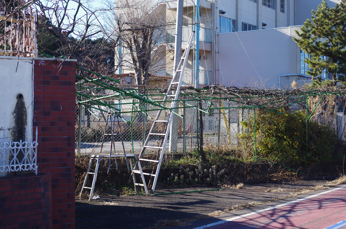 f:id:com:20180102133442j:image
