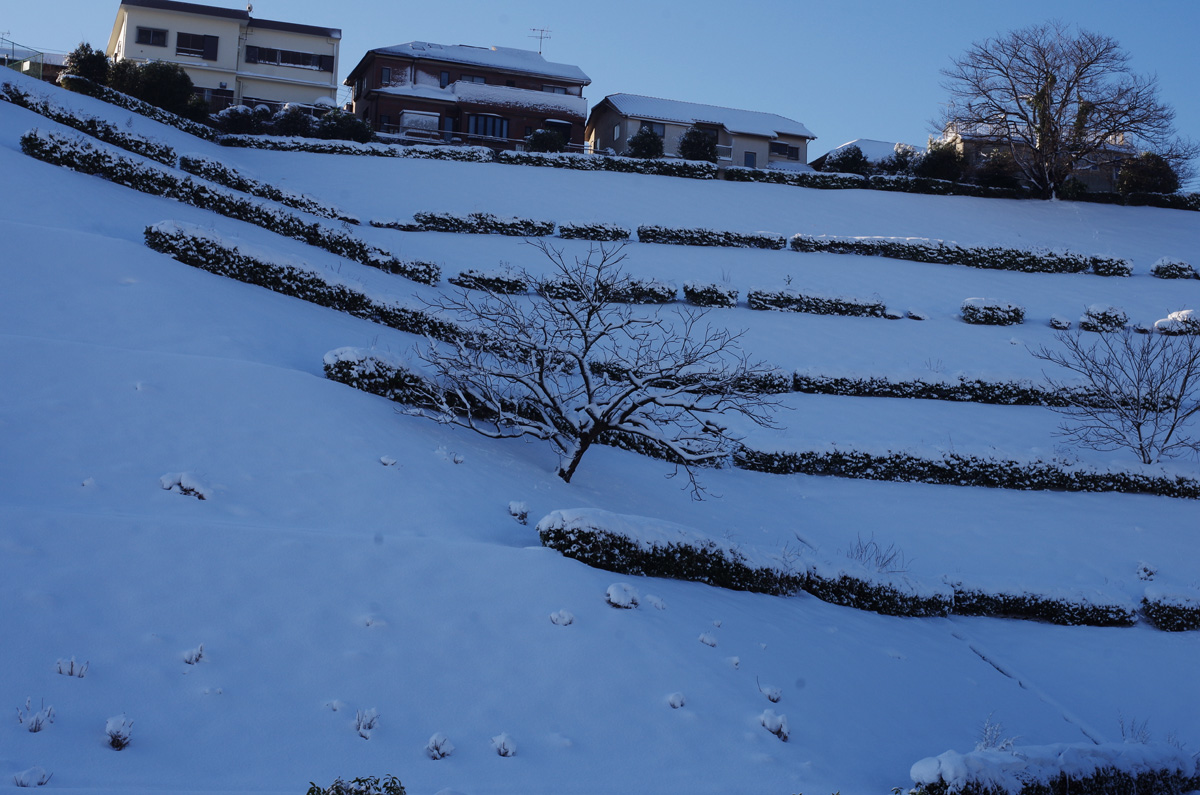 f:id:com:20180123081544j:image