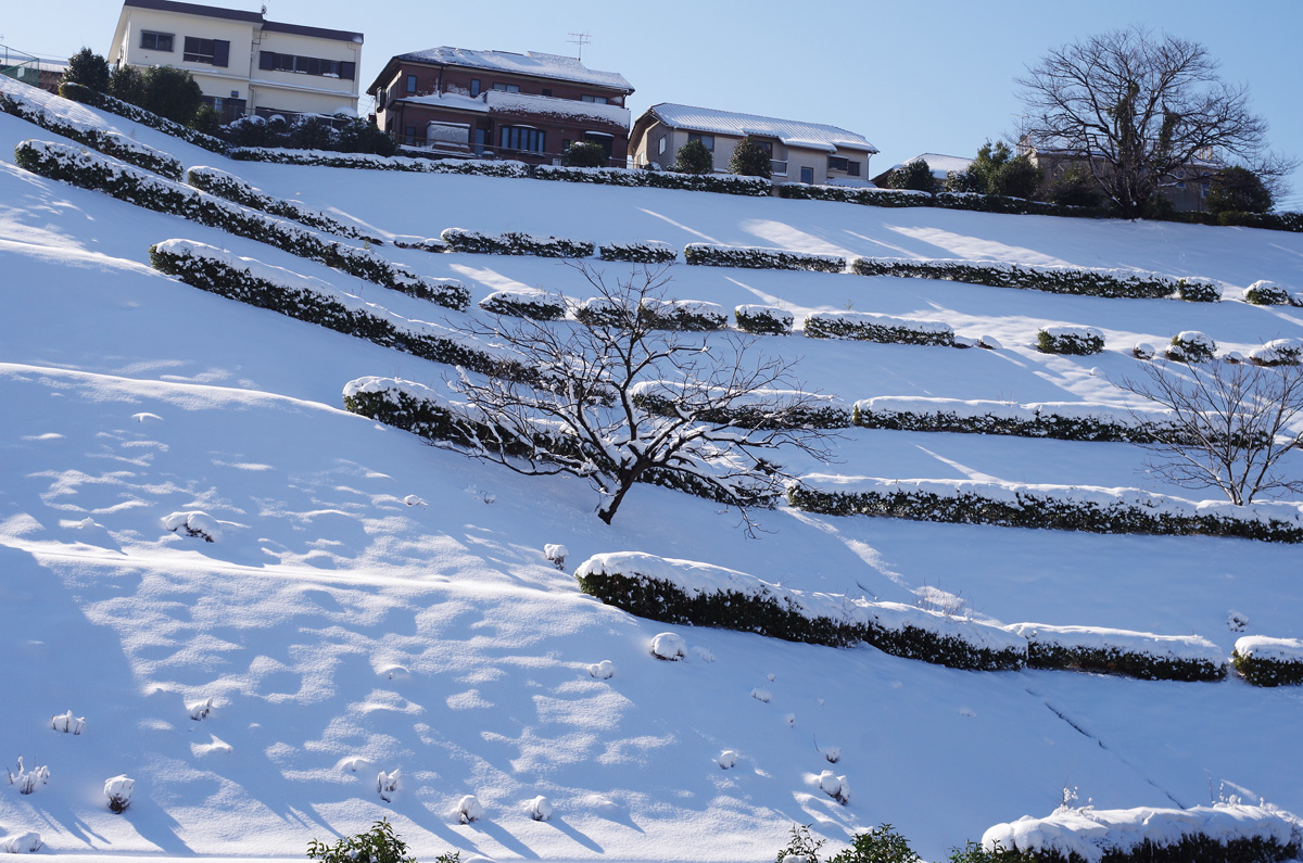 f:id:com:20180123100122j:image