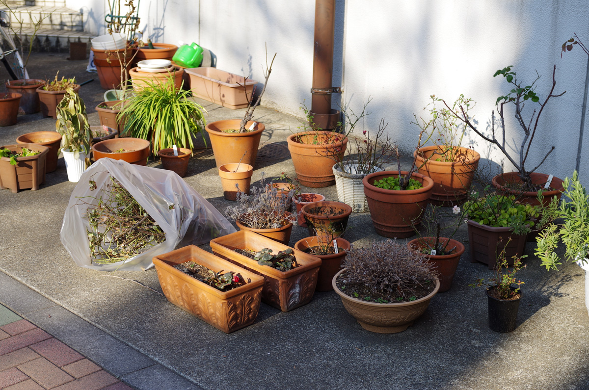 f:id:com:20180220151742j:image