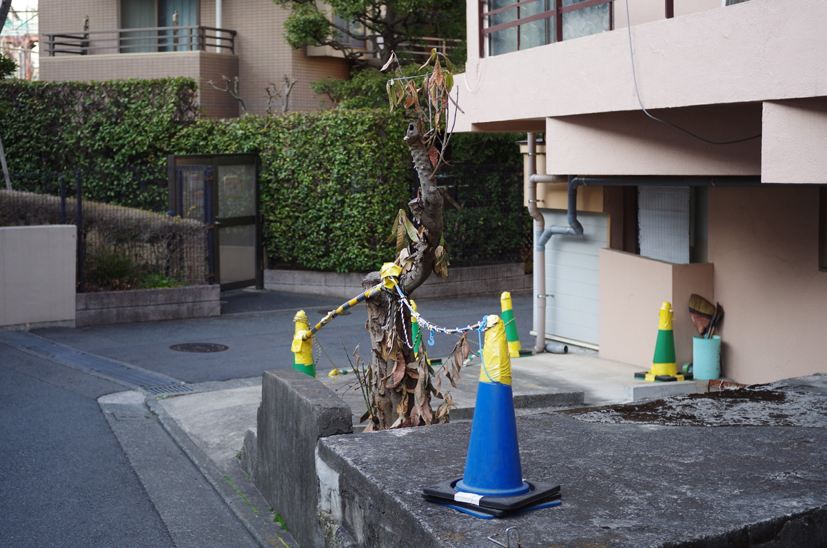 f:id:com:20180220152305j:image