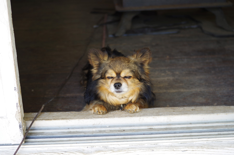 f:id:com:20180421135238j:image