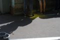 20180602173103