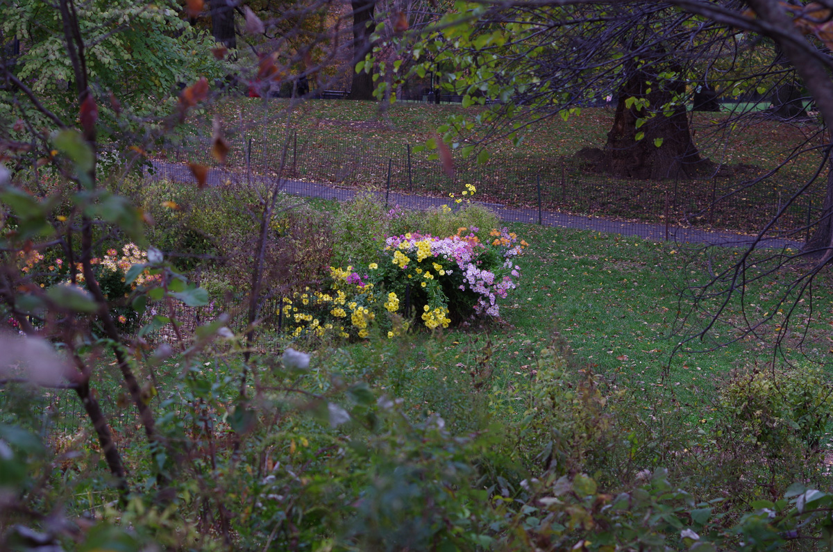 f:id:com:20181109221529j:image