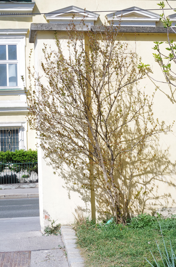 f:id:com:20190422181049j:image