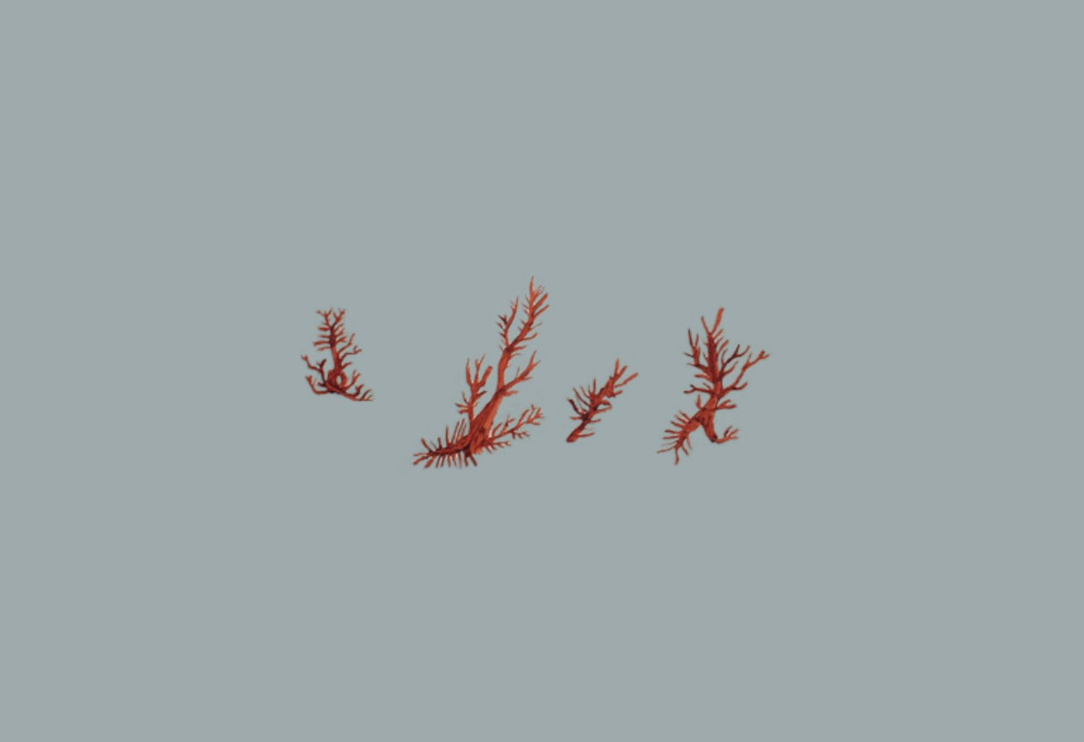 f:id:com:20190521024312p:image